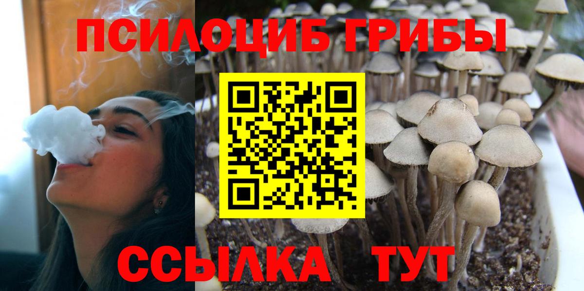 Галлюциногенные грибы Cubensis  Вход с VPN  Калач-на-Дону  как найти наркотики  Псилоцибиновые грибы мухоморы 