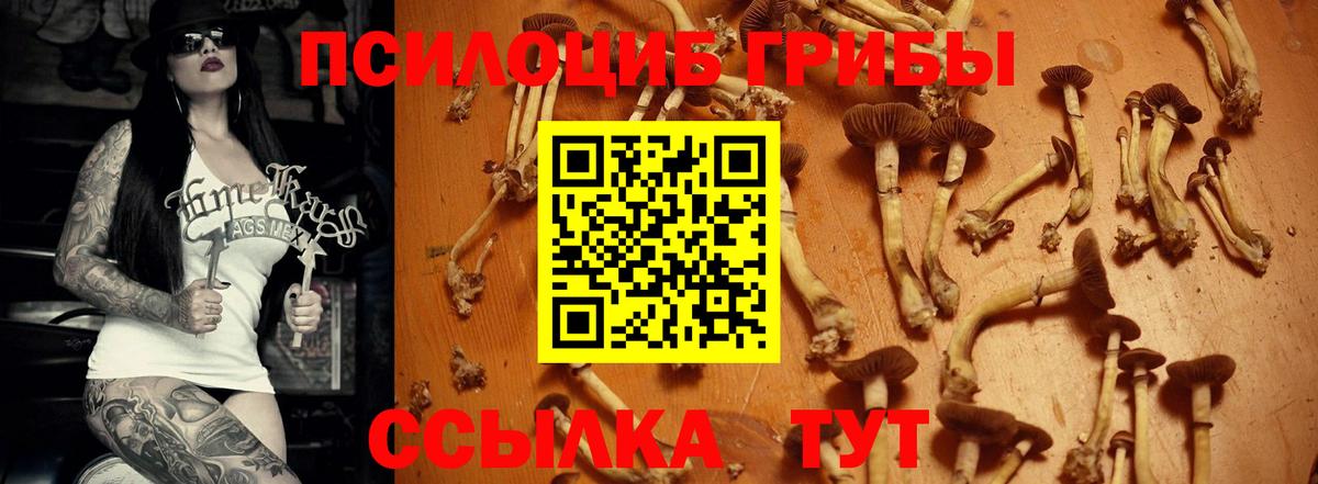 Псилоцибиновые грибы Magic Shrooms Калач-на-Дону
